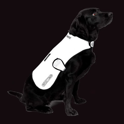 Proviz Reflect360 waterproof dog jacket with white reflective safety vest for dogs