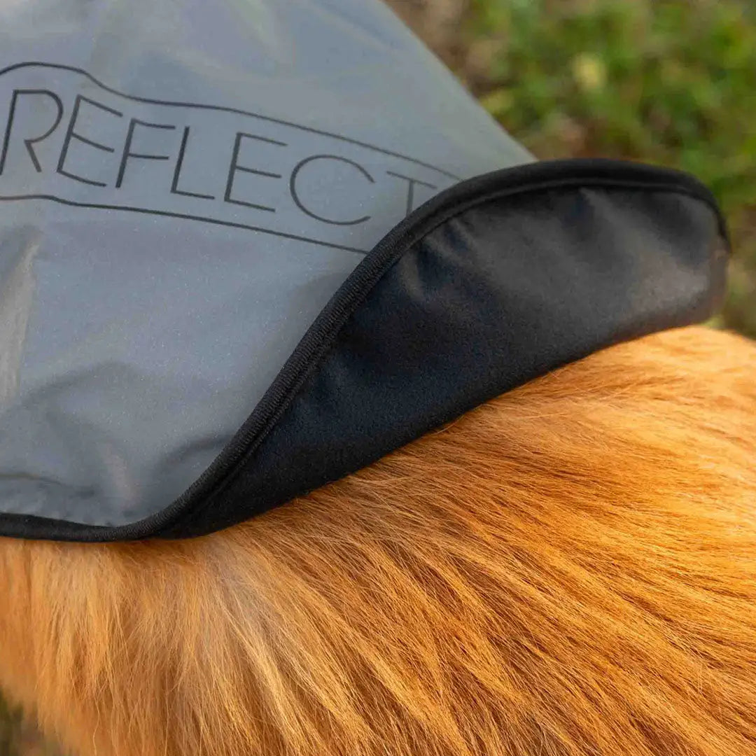 Gray Proviz Reflect360 waterproof dog jacket with reflective vest for safety
