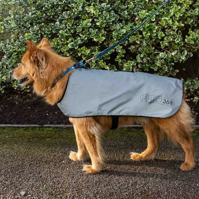 Gray Reflect360 waterproof dog jacket with black trim and logo