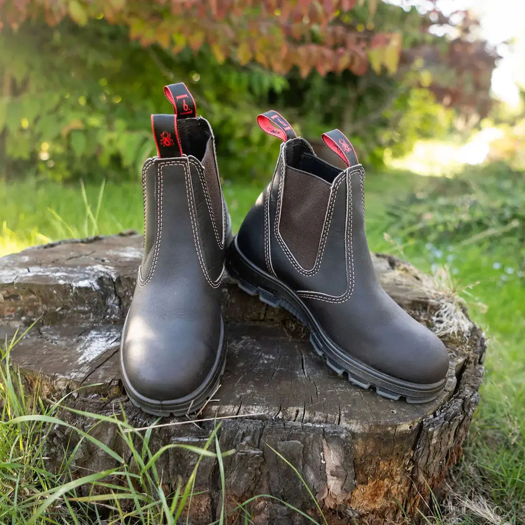 Redback safety shoes discount