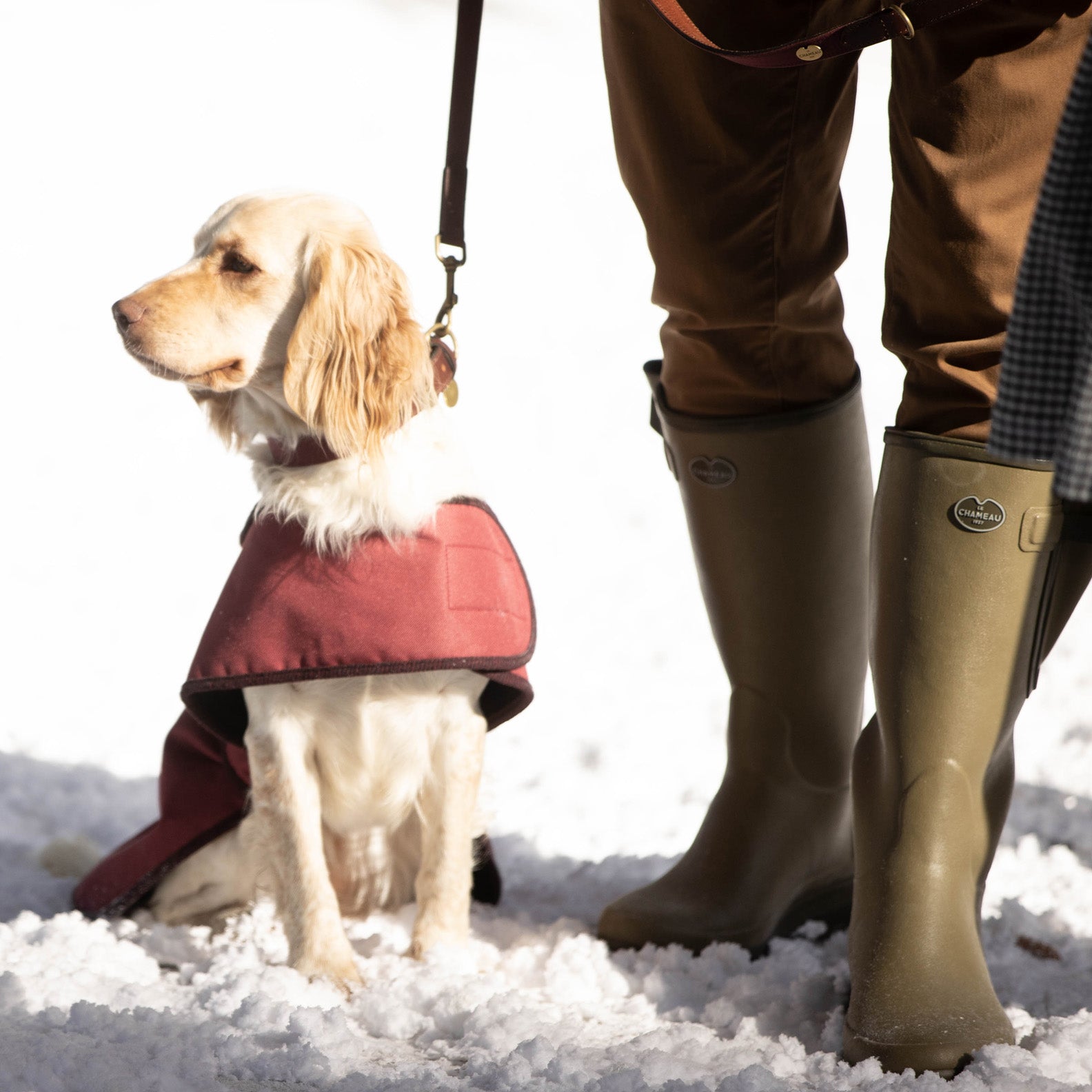 Le Chameau Dog Coat New Forest Clothing